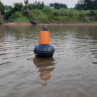 ss-model-float