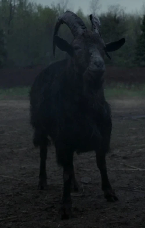 Black_Phillip.webp