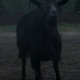 Black_Phillip