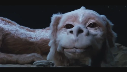 Falkor1234.webp