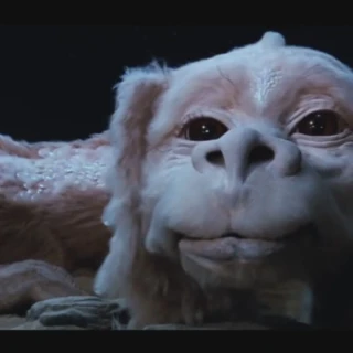 Falkor1234
