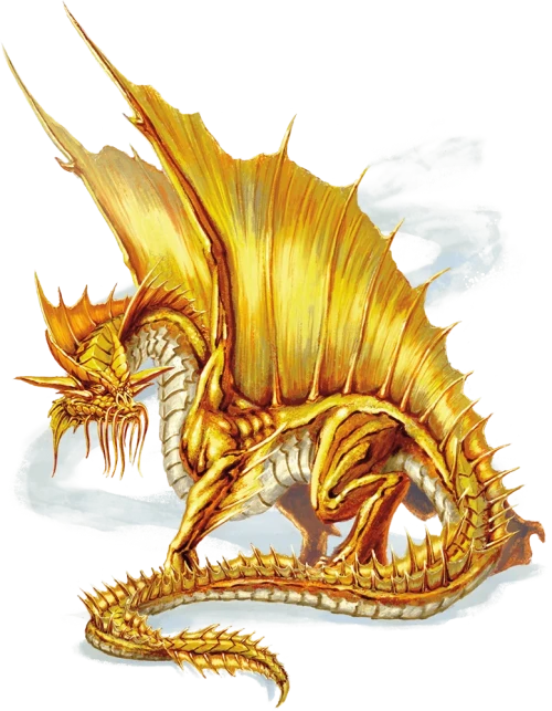 Gold-Dragon.webp