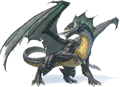 a-good-friend-send-me-this-black-dragon-mini-he-want-me-to-v0-p4l210c64e8f1.png