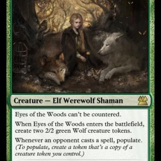 Eyes-of-the-Woods