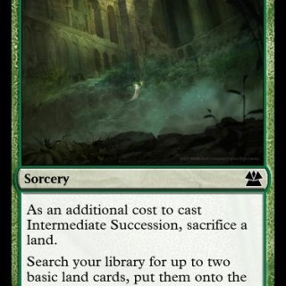 Intermediate-Succession