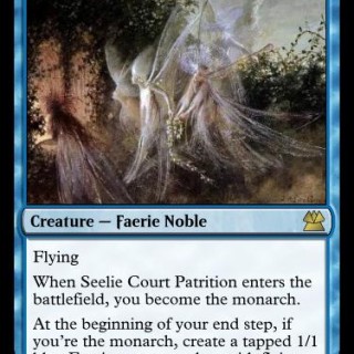 Seelie-Court-Patrition