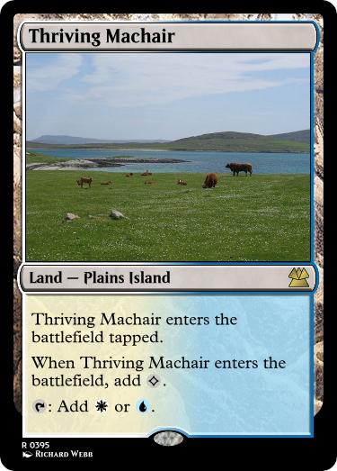 Thriving-Machair.jpg