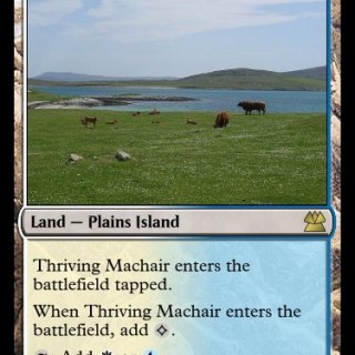 Thriving-Machair