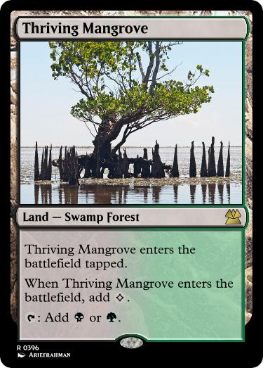 Thriving-Mangrove.jpg