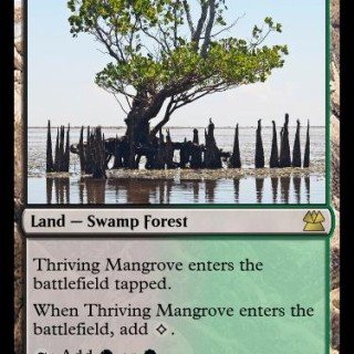 Thriving-Mangrove