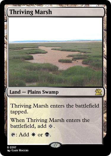 Thriving-Marsh.jpg