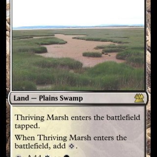 Thriving-Marsh