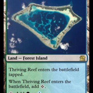 Thriving-Reef