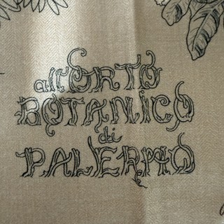 IMG_86954c9705e7e78fe6e1