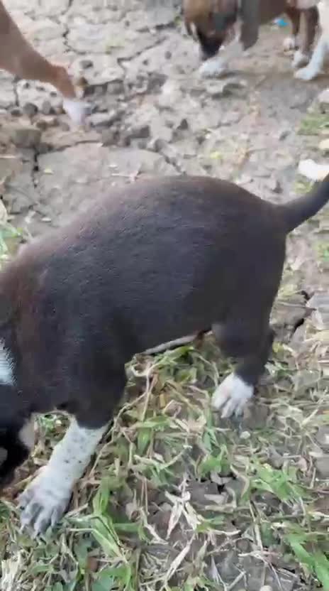 WhatsApp-Video-2025-11-14-at-19.53.19_cf45946e.mp4