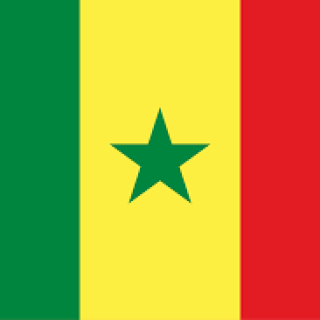 Senegal-flag