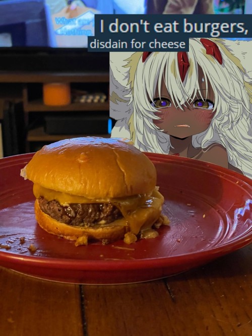 Meme_CatWantsCheeseburger_No_50p.jpg