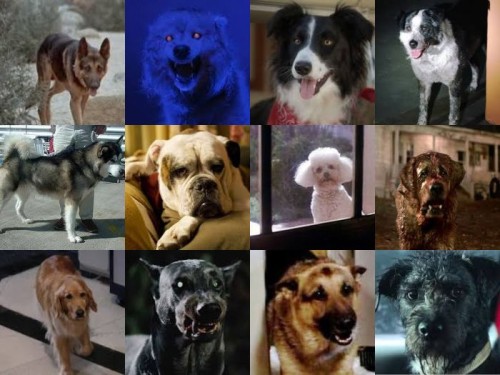 Horror-Dogs.jpg