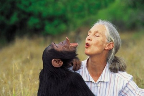 Jane-Goodall.jpg