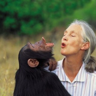 Jane-Goodall