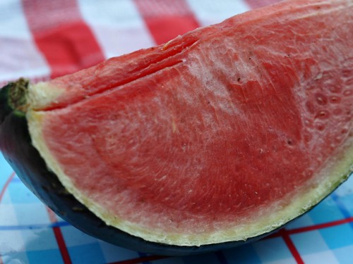 03-watermelon.jpg