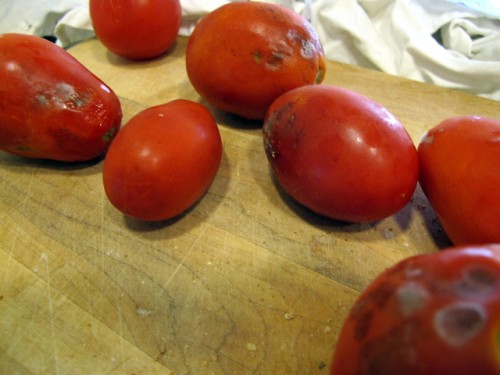 09-tomato.jpg