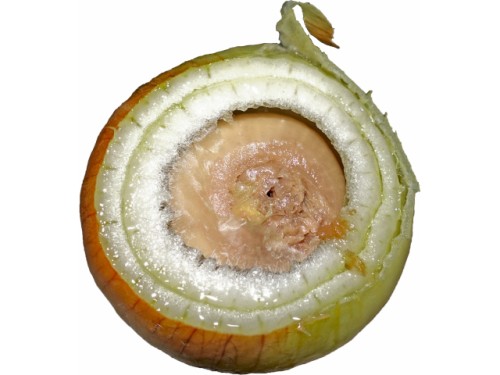 17-onion.jpg