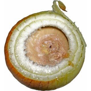 17-onion
