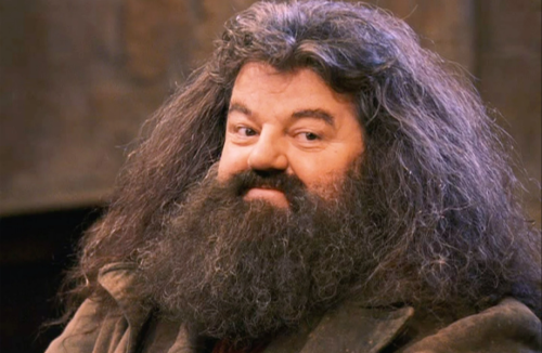 Hagrid.png