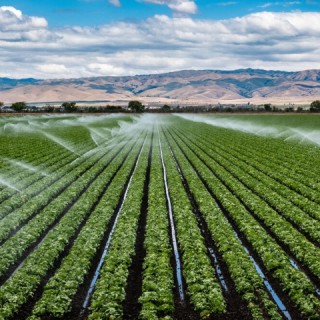 09-irrigation