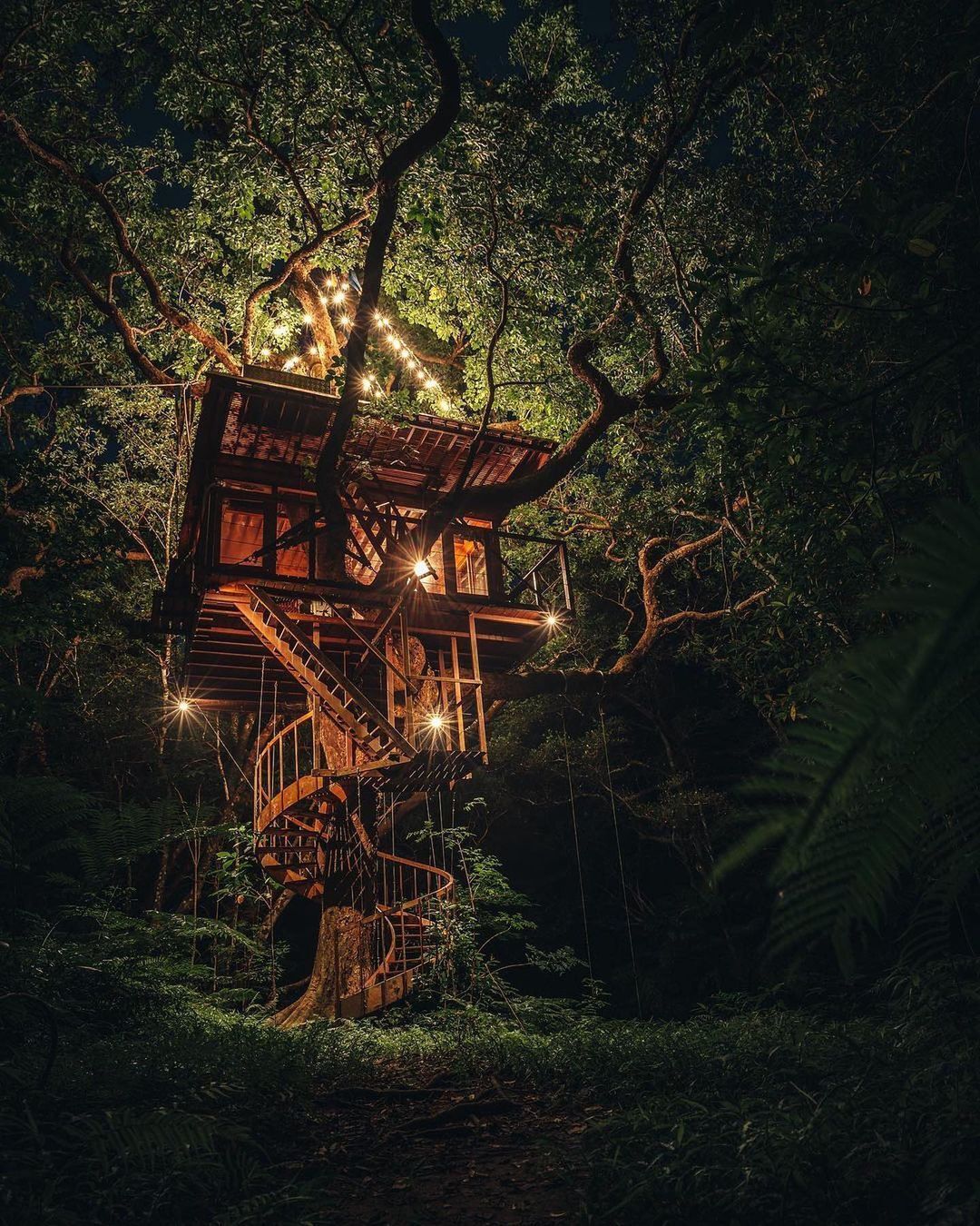 Treeful Treehouse: Hospedagem em Casas na Árvore em Meio à Natureza