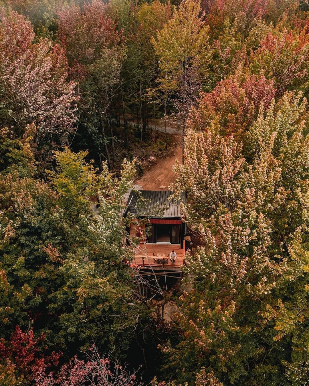 Laö Cabines: Glamping Moderno em Cabanas na Floresta de Quebec