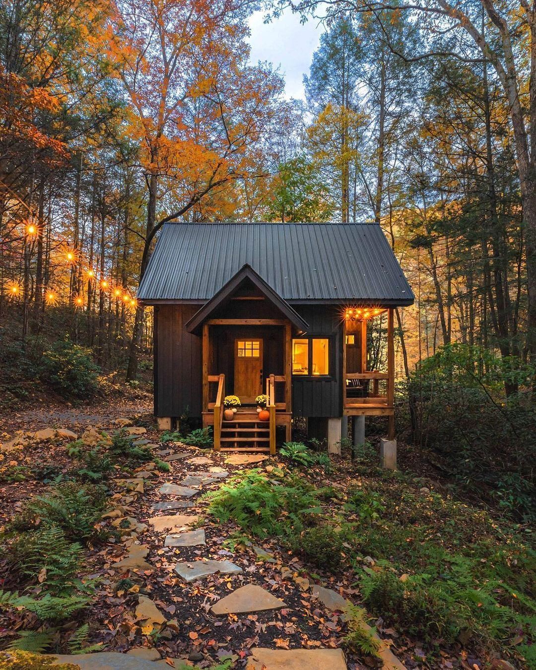 Retreat at Fall Branch Falls: Cabana Exclusiva com Cachoeira Privativa