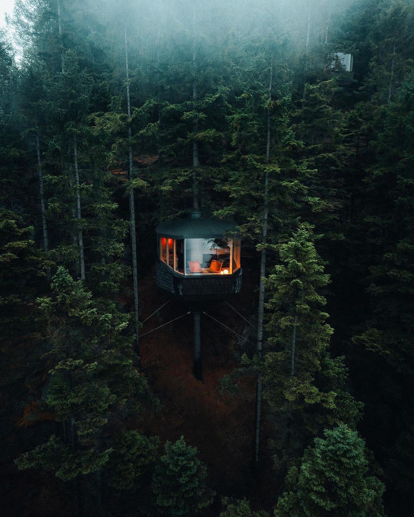 Woodnest: Cabana Moderna na Natureza para uma Escapada Perfeita