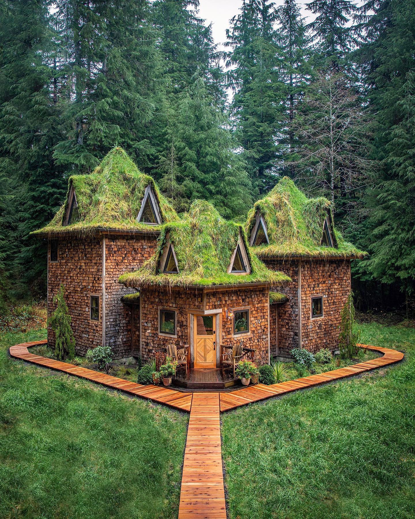 PNW Cabinland: Cabana Imersiva na Natureza do Pacific Northwest