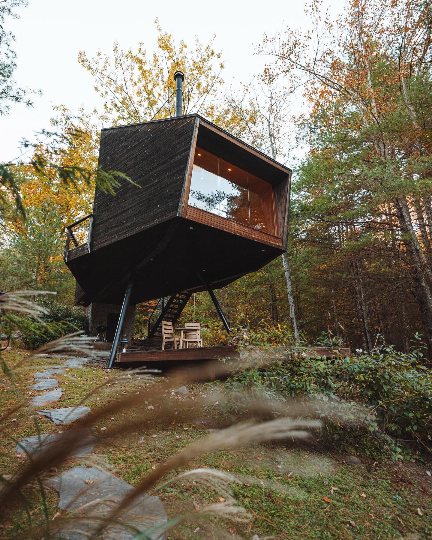 Treehouse Willow: Hospedagem em Casa na Árvore em Meio à Natureza